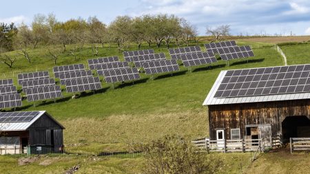 Solar on the Farm: A Beautiful Thing