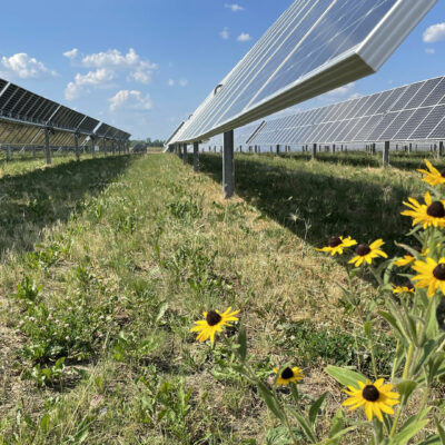 Eco-Friendly Energy: The Future of Solar with Sol Systems and American Farmland Trust (AFT)